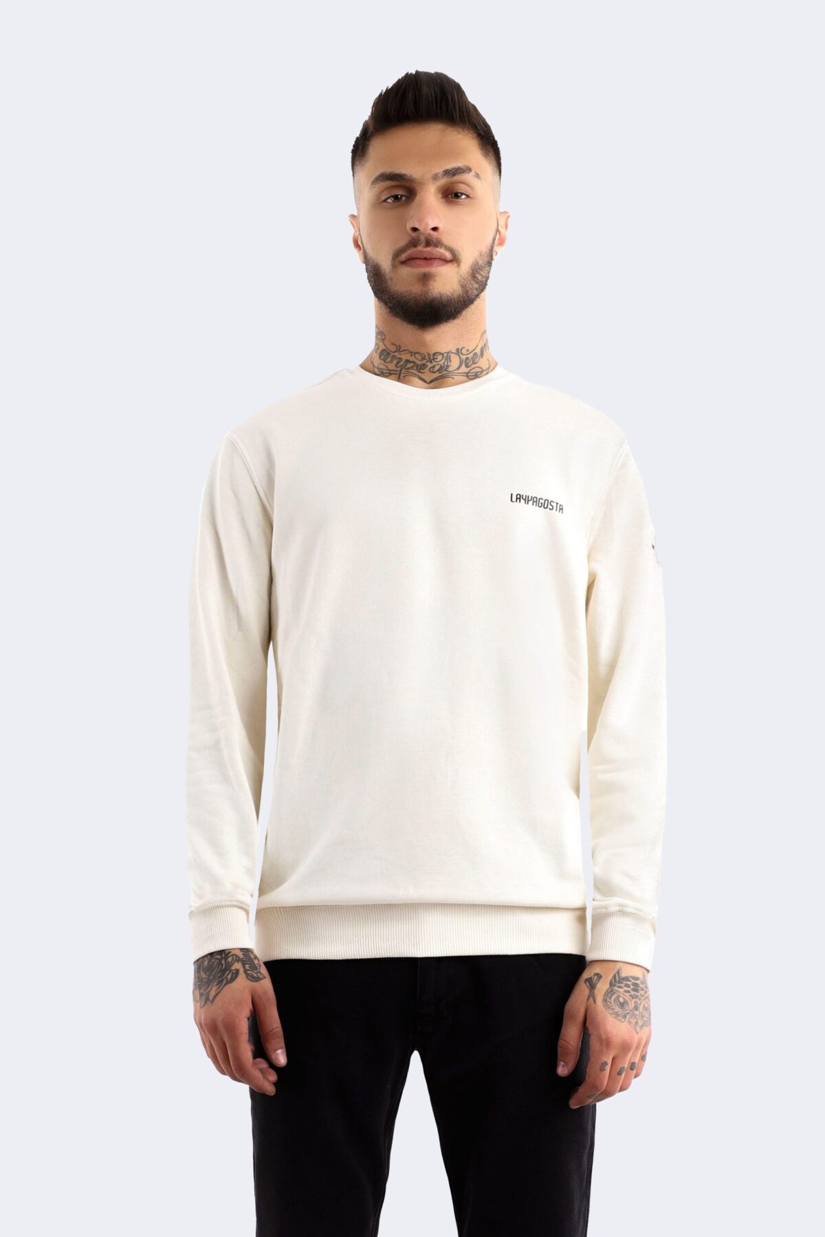 Classic men's sweatshirt - Image 1