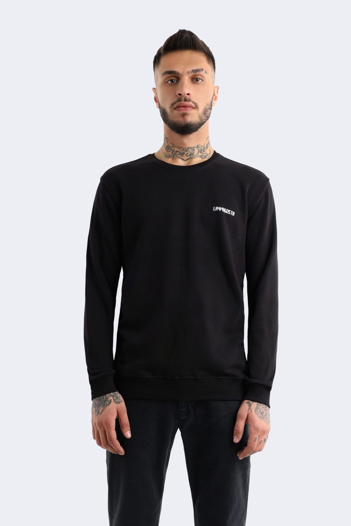 Classic men's sweatshirt - Image 1