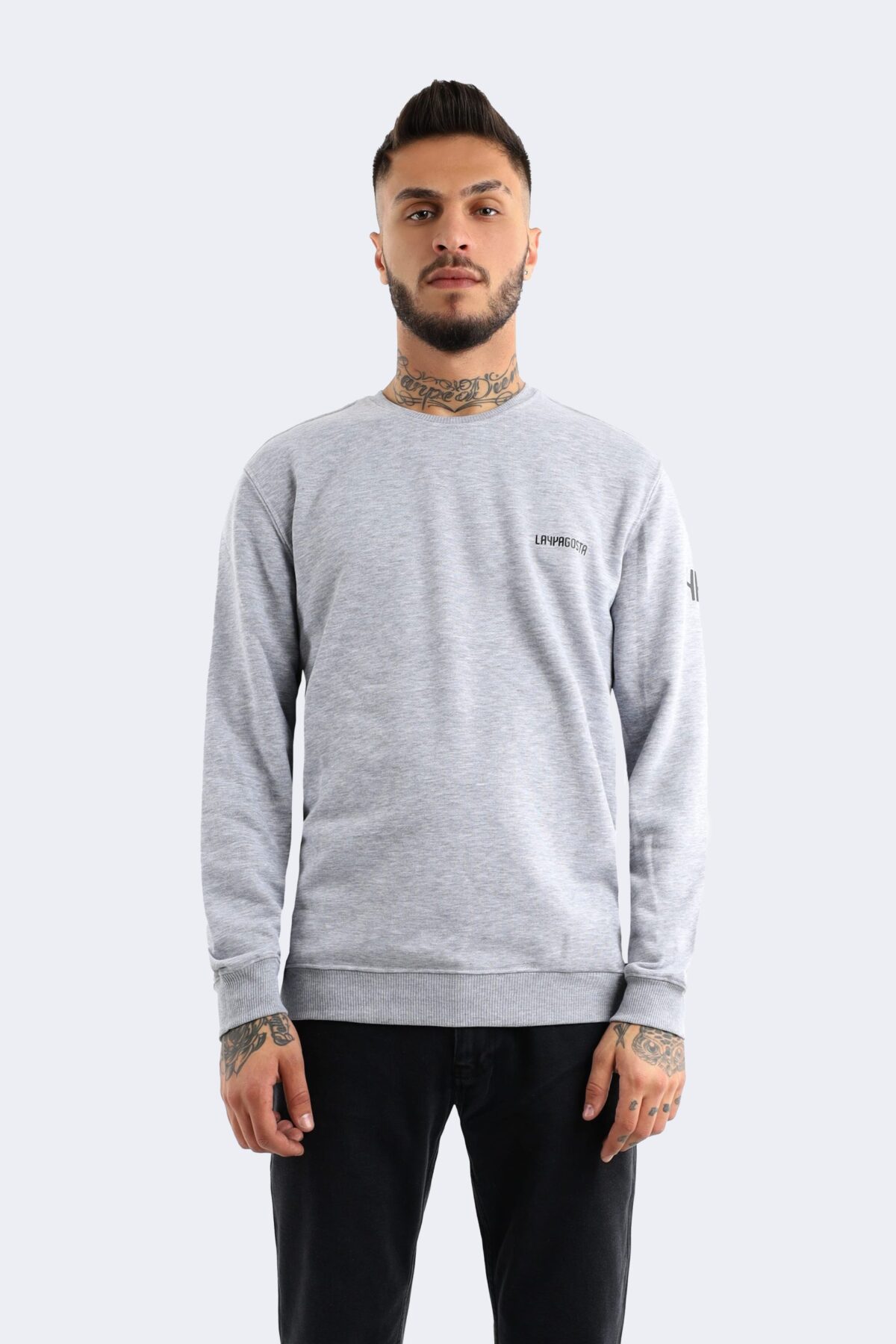 Classic men's sweatshirt - Image 1